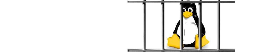 tux-jail-banner